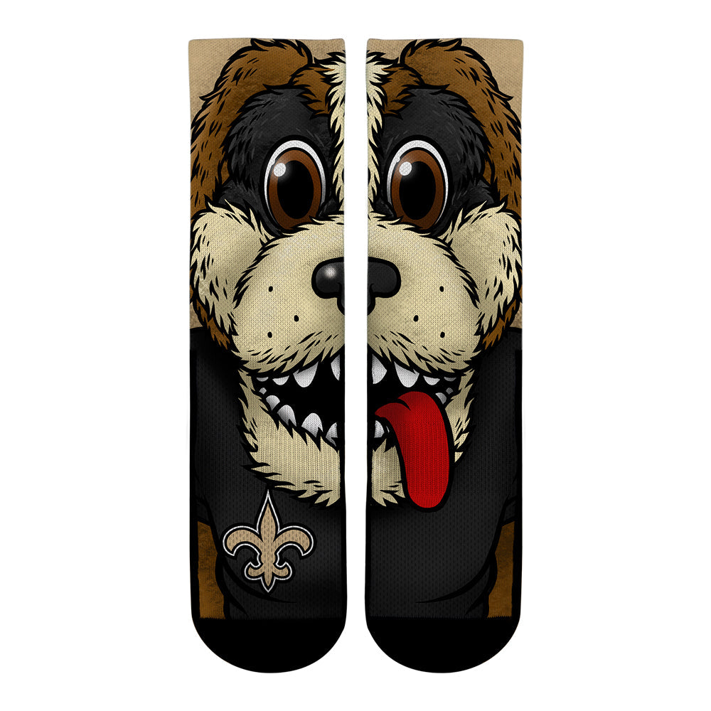 New Orleans Saints - Split Face Mascot