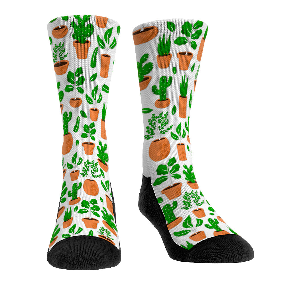 Plant All-Over