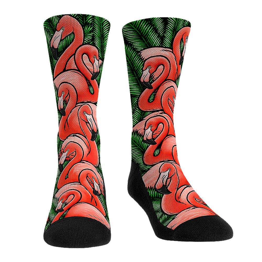Flamingo Flamboyance