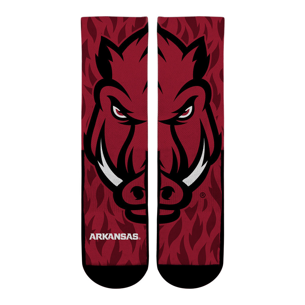 Arkansas Razorbacks - Mascot