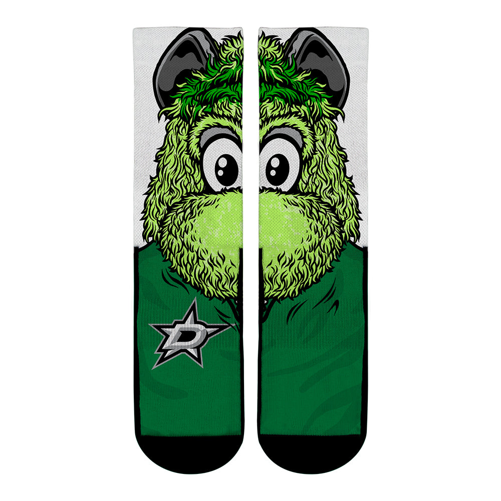 Dallas Stars - Split Face Mascot