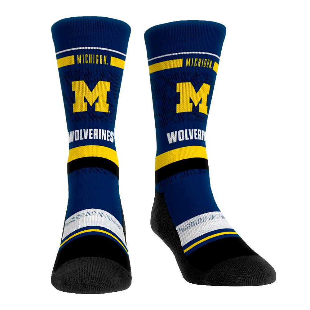 Michigan Wolverines - Franchise