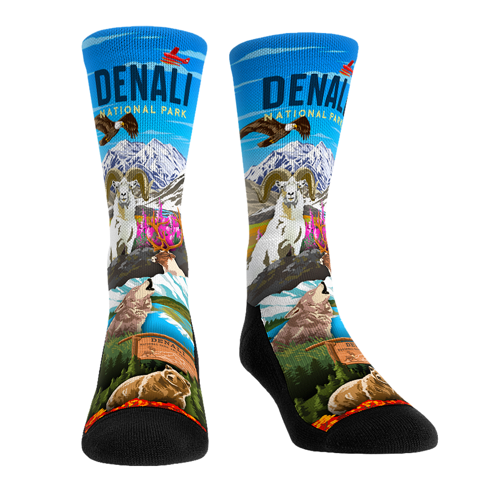 Denali Vista