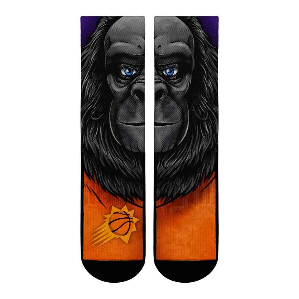 Phoenix Suns - Split Face Mascot