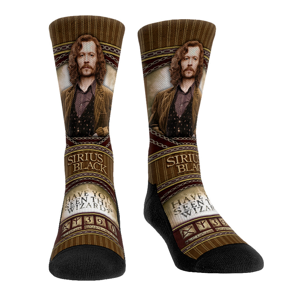 Harry Potter - Sirius Black - Hero Pose